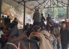 केदारनाथ यात्रा में मध्य प्रदेश के श्रद्धालुओं से ओवररेटिंग करने वाले घोड़ा हॉकर्स पर पुलिस की कार्यवाही, यात्रियों के पैसे कराए वापस।