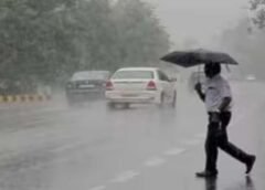 प्री-मानसून बारिश का असर, साफ हुई दून की हवा